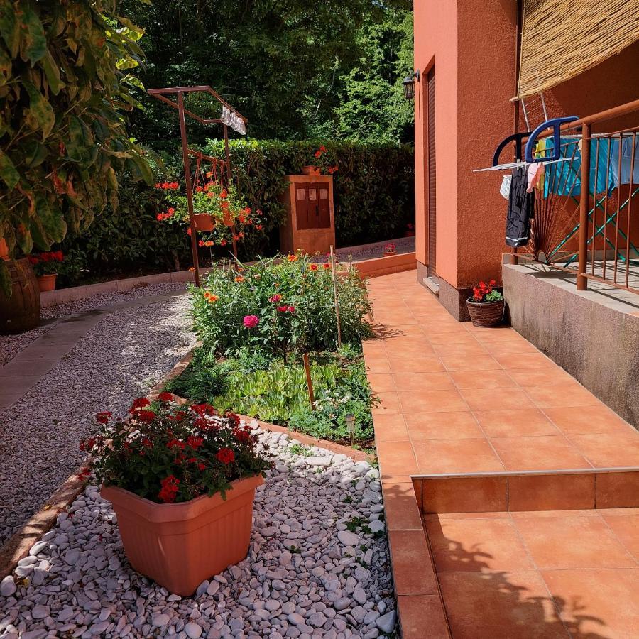 Studio Apartman Branka Labin  Exterior foto