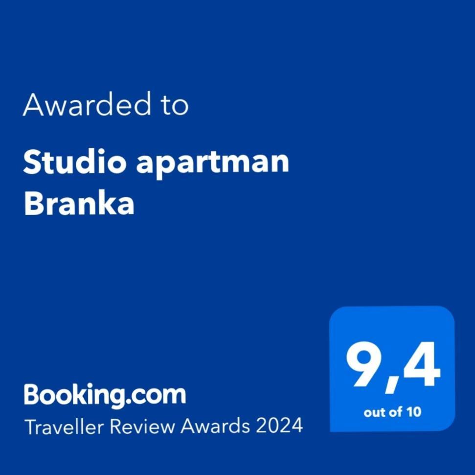 Studio Apartman Branka Labin  Exterior foto
